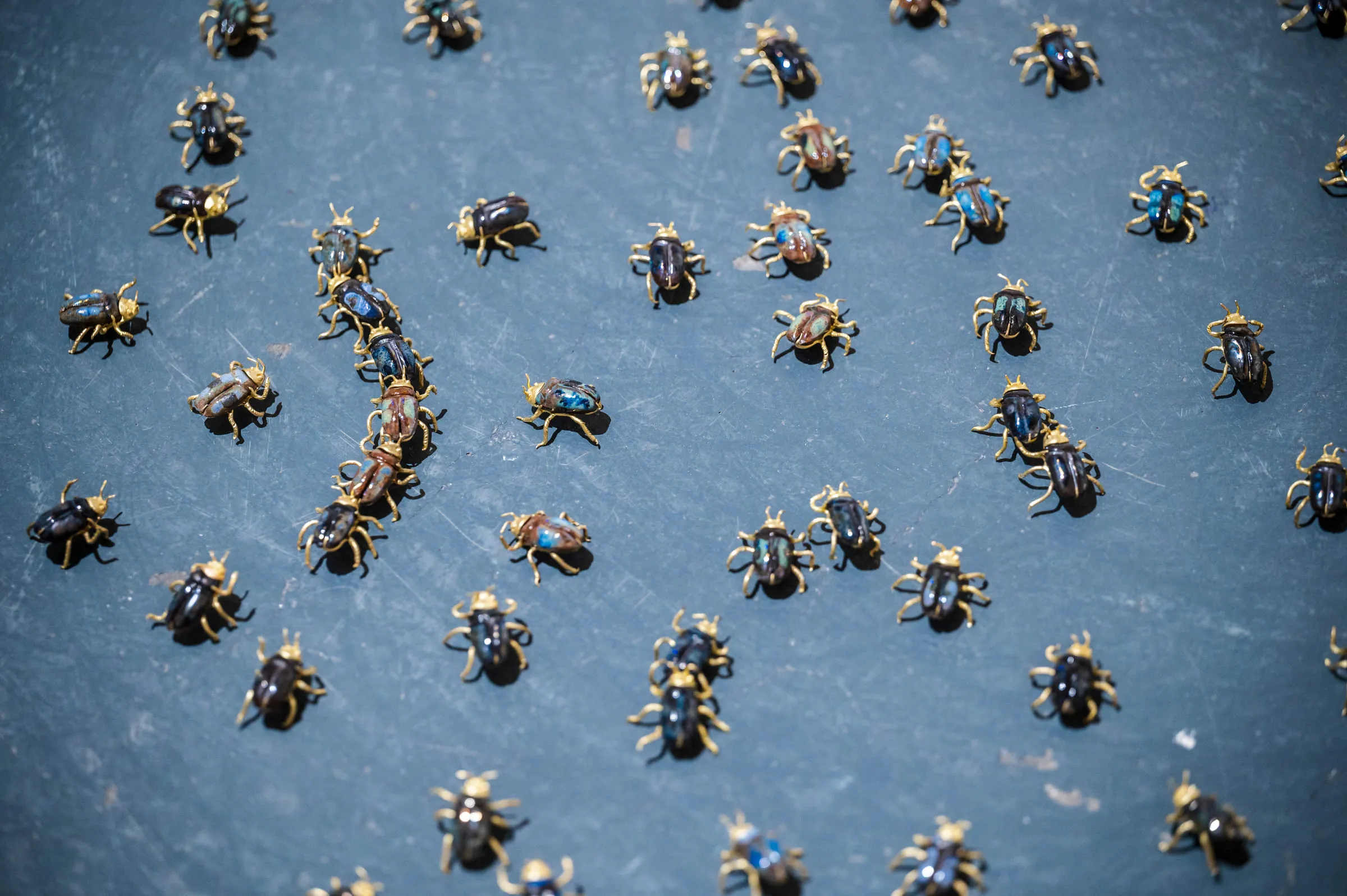A multitude of small glazed ceramic beetles set out on a grey-blue ground.