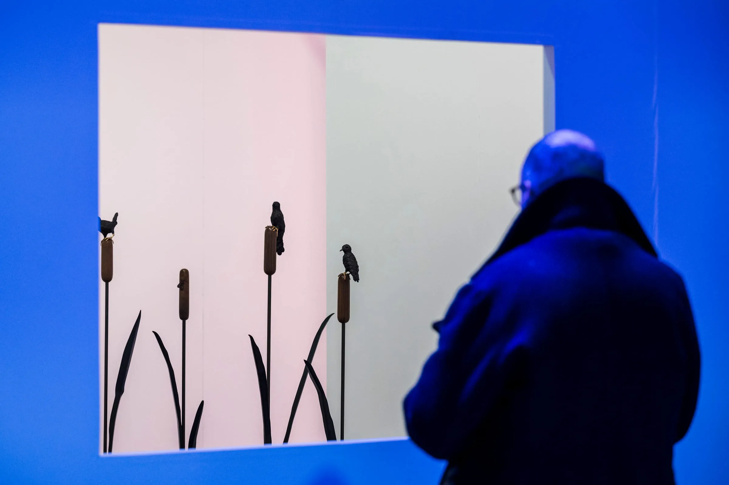 A visitor in front of a large panel painted with reeds and black birds, on a blue wall.